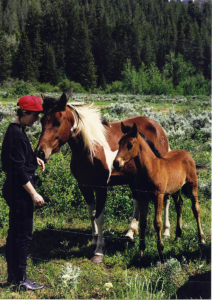 mustang preservation program