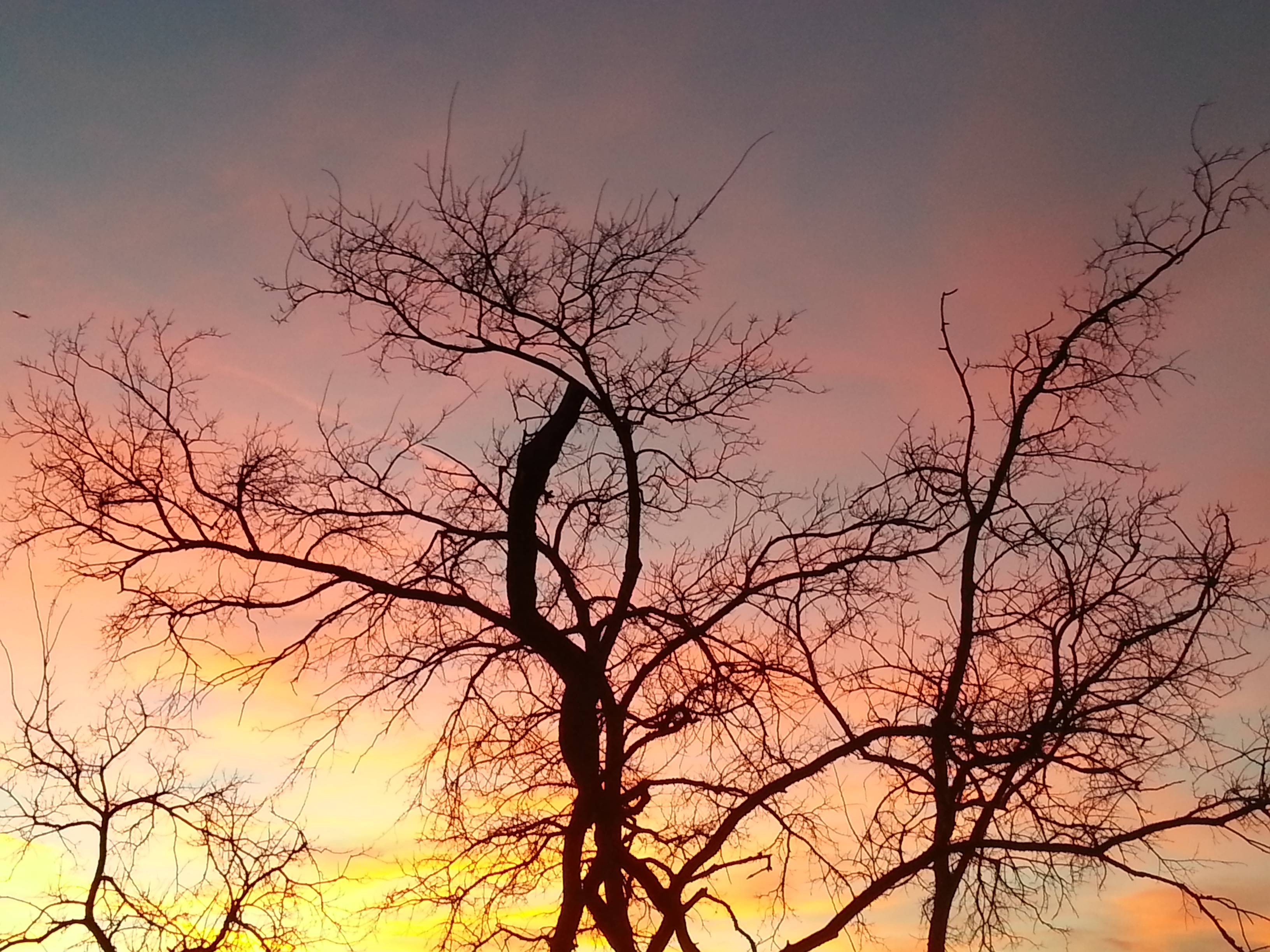 spectacular North Texas sunsets