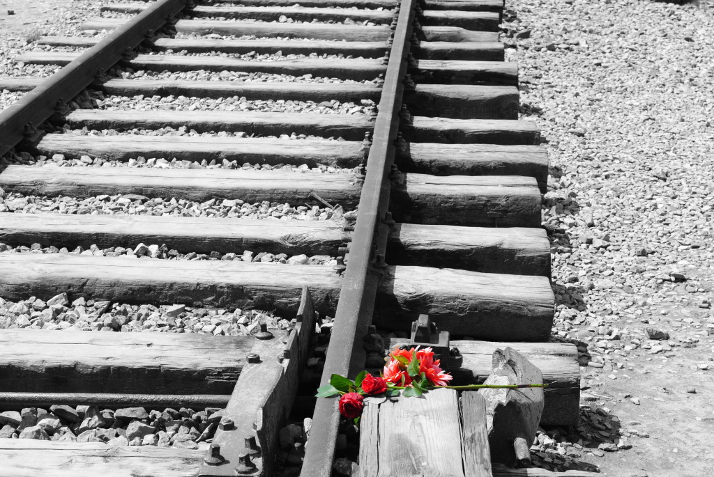 tracks to Auschwitz