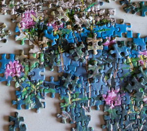missing puzzle pieces
