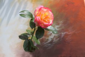 A rose for Miss Beardslee
