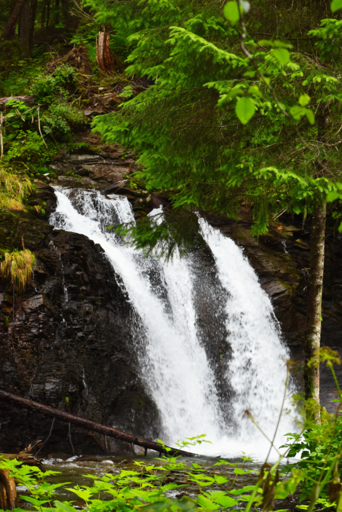 Waterfall at the salmon bake