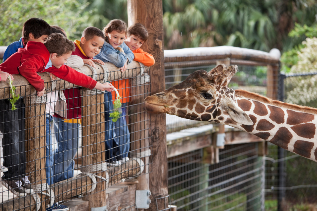 Creative Bible lesson at the Zoo