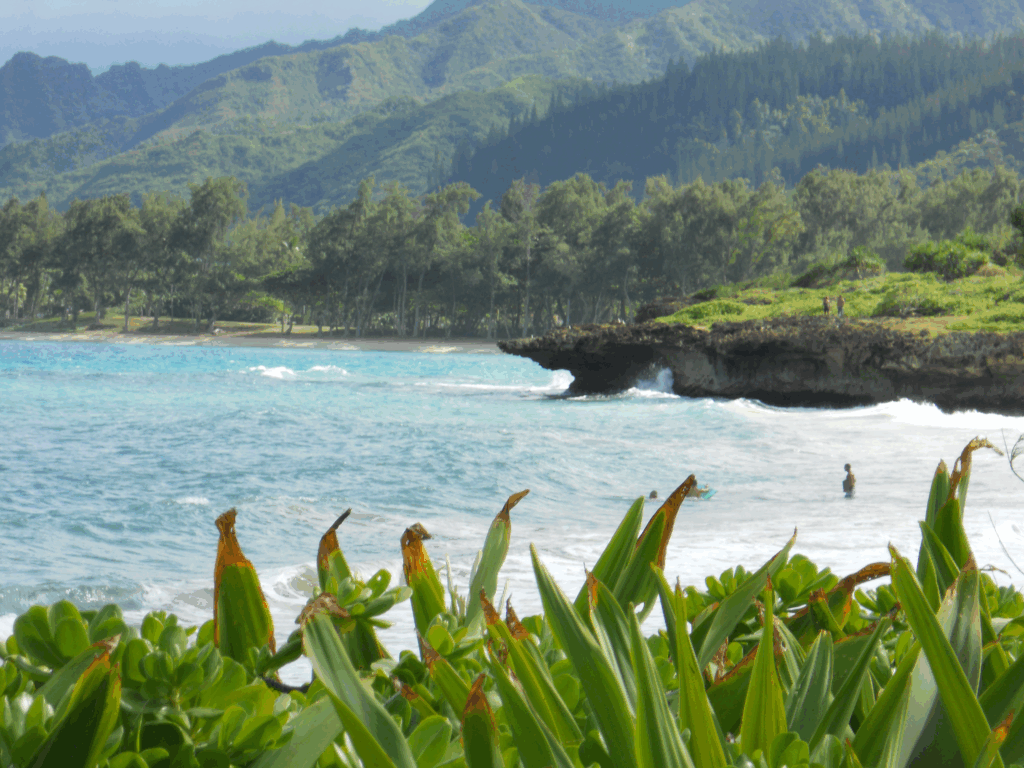 snorkeling in Hawaii