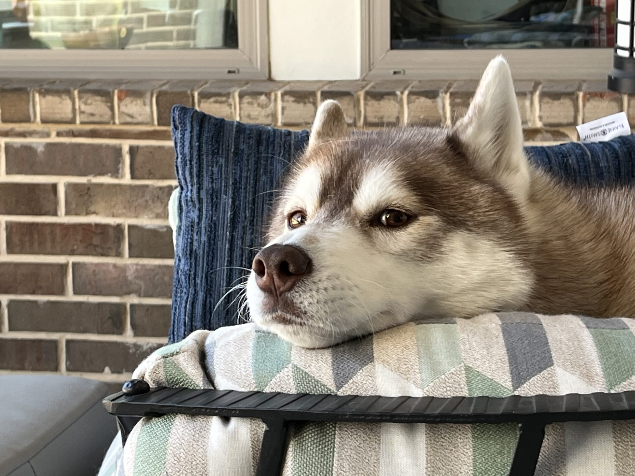 Jesus - Humanity's First Responder - Delight In God