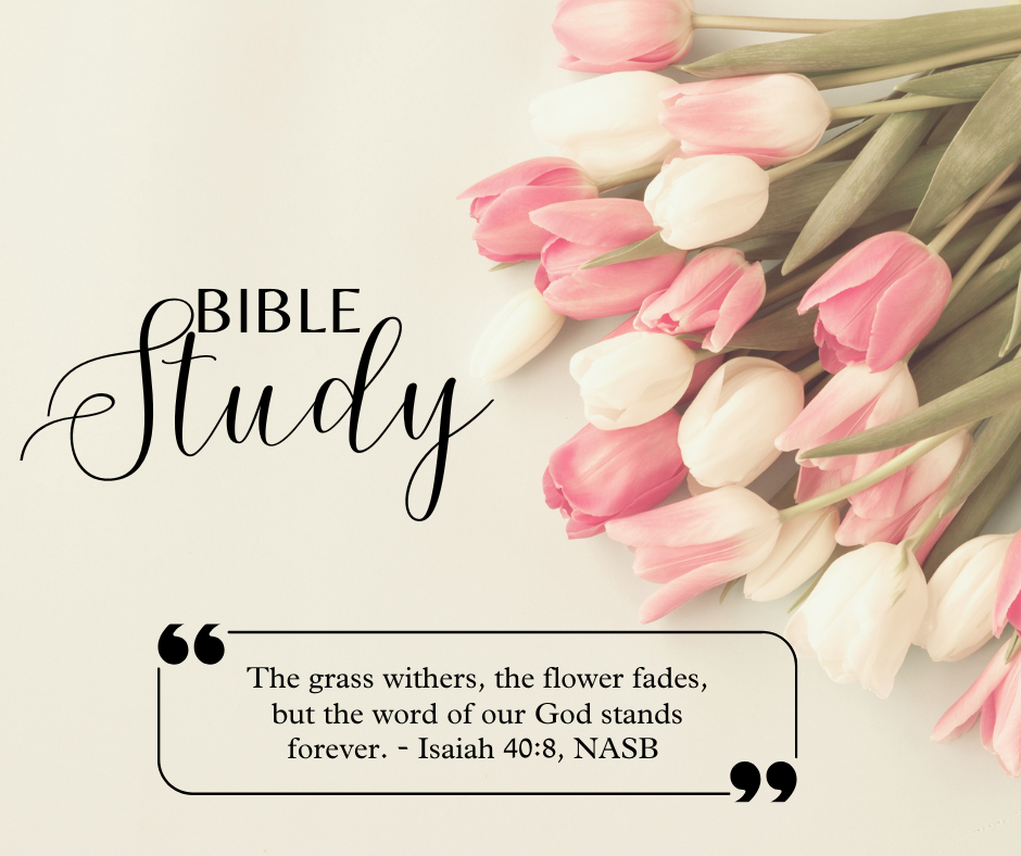 A great way to start the day - the Women's Heart Dive Bible Study with Kanoe Gibson