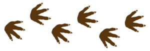 God's creation of dinosaurs
