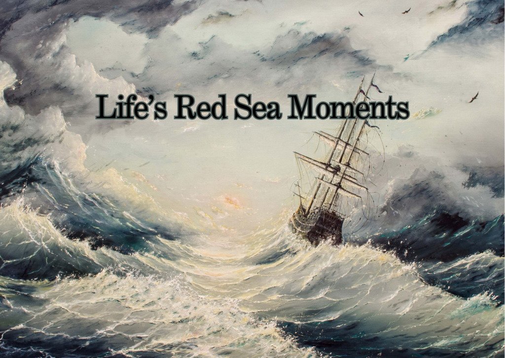 Life's Red Sea Moments Life's Red Sea Moments